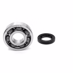 Crankshaft bearing compatible with Aeon OVERLAND-125 OVERLAND-180 RS-125 RS-180 PPS04178 Buy crankshaft bearings online at partsandparts.com ✓ Large selection ✓ Cheap prices ✓ Express shipping