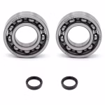 Crankshaft bearing compatible with Sherco TRIALS 0.8 TRIALS 1.2 PPS04195 Buy crankshaft bearings online at partsandparts.com ✓ Large selection ✓ Cheap prices ✓ Express shipping