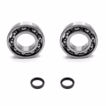 Kurbelwellenlager kompatibel mit Sherco TRIALS 1.2 TRIALS 2.5 TRIALS 2.9 PPS04198 Kurbelwellenlager online kaufen auf partsandparts.de ✓ Große Auswahl ✓ Günstige Preise ✓ Expressversand