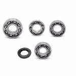 Getriebelager kompatibel mit Rieju MARATHON 125 BLACK MARATHON 125 E4 PRO BLACK PPS04200 Getriebelager mit Wellendichtringen online kaufen ✓ Große Auswahl ✓ Günstige Preise ✓ Blitzversand