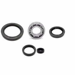 Motorgehäuse Lager und Dichtungen kompatibel mit Aprilia SRV PPS04210 Motorlager Set online kaufen auf partsandparts.de ✓ gute Bewertungen ✓ niedrige Preise ✓ Expressversand