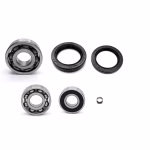 Getriebelager kompatibel mit Suzuki TU PPS04238 Getriebelager mit Wellendichtringen online kaufen ✓ Große Auswahl ✓ Günstige Preise ✓ Blitzversand