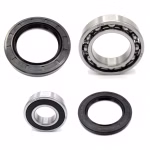 Rear wheel bearing compatible with Yamaha YFM250 YFM250-BIG-BEAR-250 YFM350A YFM350FWA PPS01755 Buy wheel bearings rear axle online ✓ Large selection ✓ Express shipping ✓ Good prices
