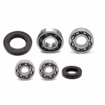 Gearbox bearing compatible with SYM ALLO CELLO CROX FIDDLE JET MIO ORBIT SYMPHONY PPS04289 Buy gearbox bearings with oil seals online ✓ Large selection ✓ Low prices ✓ Fast shipping