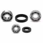 Getriebelager kompatibel mit SYM FIDDLE JET ORBIT PPS04290 Getriebelager mit Wellendichtringen online kaufen ✓ Große Auswahl ✓ Günstige Preise ✓ Blitzversand