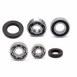 Getriebelager kompatibel mit SYM TONIK PPS04293 Getriebelager mit Wellendichtringen online kaufen ✓ Große Auswahl ✓ Günstige Preise ✓ Blitzversand
