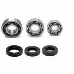 Motorlager Set online kaufen auf partsandparts.de ✓ gute Bewertungen ✓ niedrige Preise ✓ Expressversand