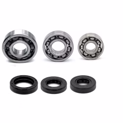 Motorgehäuse Lager und Dichtungen kompatibel mit Honda X8R PPS04297 Motorlager Set online kaufen auf partsandparts.de ✓ gute Bewertungen ✓ niedrige Preise ✓ Expressversand