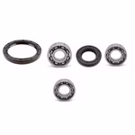 Front wheel bearing compatible with Polaris CYCLONE SCRAMBLER TRAIL BOSS PPS04393 Buy wheel bearings front axle online ✓ Large selection ✓ Express shipping ✓ Good prices