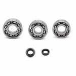 Motorgehäuse Lager und Dichtungen kompatibel mit Hanway Home Hanway HC Cafe Racer PPS04397 Motorlager Set online kaufen auf partsandparts.de ✓ gute Bewertungen ✓ niedrige Preise ✓ Expressversand