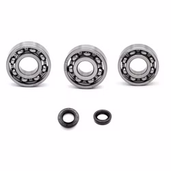 Motorgehäuse Lager und Dichtungen kompatibel mit Hanway Home Hanway HC Cafe Racer PPS04397 Motorlager Set online kaufen auf partsandparts.de ✓ gute Bewertungen ✓ niedrige Preise ✓ Expressversand