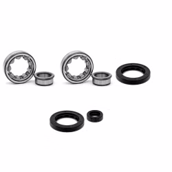 Crankshaft bearing compatible with KTM ADVENTURE DUKE ENDURO EXC LC4 RALLY SUPERMOTO SX SXC PPS00028 Buy crankshaft bearings online at partsandparts.com ✓ Large selection ✓ Cheap prices ✓ Express shipping