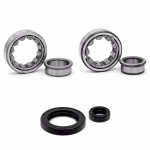 Crankshaft bearing compatible with KTM ADVENTURE DUKE ENDURO LC4 SUPERMOTO PPS00053 Buy crankshaft bearings online at partsandparts.com ✓ Large selection ✓ Cheap prices ✓ Express shipping