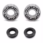 Crankshaft bearing for Crankshaft bearings for Derbi ATLANTIS ATLANTIS LC HUNTER PADDOCK PREDATOR LC PPS00099 the ball bearings and oil seals in OEM quality are suitable for the maintenance of your vehicle