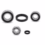 Buy gearbox bearings with oil seals online ✓ Large selection ✓ Low prices ✓ Fast shipping