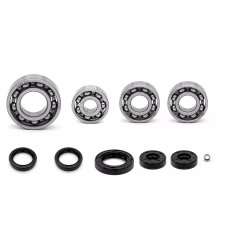 Motorgehäuse Lager und Dichtungen kompatibel mit Aprilia AF1 PEGASO RS PPS00153 Motorlager Set online kaufen auf partsandparts.de ✓ gute Bewertungen ✓ niedrige Preise ✓ Expressversand
