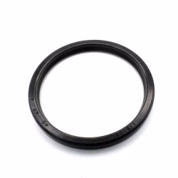 Variomatik Wellendichtring kompatibel mit Aprilia SRV PPS00178 Dichtrungen für die Variomatik als Ersatzteil online kaufen ✓ Große Auswahl ✓ schnelle Lieferung ✓ gute Preise