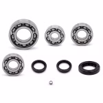 the ball bearings and oil seals in OEM quality are suitable for the maintenance of your vehicle