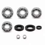Motorgehäuse Lager und Dichtungen kompatibel mit Aprilia RS4 RX SX PPS00241 die Kugellager und Wellendichtringe in Erstausrüsterqualität eignen sich für die Wartung deines Fahrzeuges