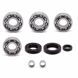 Motorgehäuse Lager und Dichtungen kompatibel mit Aprilia RS4 RX SX PPS00241 die Kugellager und Wellendichtringe in Erstausrüsterqualität eignen sich für die Wartung deines Fahrzeuges