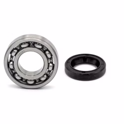 Soupape d'échappement palier pour Aprilia CAPONORD RST-FUTURA RSV SL-FALCO TUONO PPS00254 Roulement à billes pour la soupape d'échappement dans le moteur en tant que kit de pièces de rechange en qualité d'origine pour ton véhicule