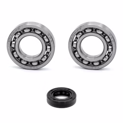 Auspuffventil Lagerung kompatibel mit KTM ATV EXC EXC-F MXC RC SMR SMS SX SX-F SXS XC XC-W PPS00287 Kugellager für das Auspuffventil im Motor als Ersatzteil Set in Erstausrüsterqualität für dein Fahrzeug