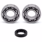 the ball bearings and oil seals in OEM quality are suitable for the maintenance of your vehicle