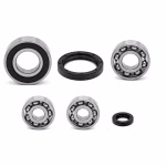 Getriebelager kompatibel mit Gilera DNA RUNNER PPS00373 die Kugellager und Wellendichtringe in Erstausrüsterqualität eignen sich für die Wartung deines Fahrzeuges