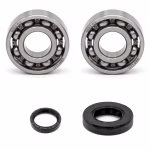 Crankshaft bearing for Crankshaft bearing for Gilera EAGLET GSM RK Surfer PPS00379 the ball bearings and oil seals in OEM quality are suitable for the maintenance of your vehicle