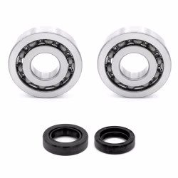 Crankshaft bearing for Crankshaft bearings for Gilera DNA EASY ICE RUNNER STALKER STORM PPS00382 the ball bearings and oil seals in OEM quality are suitable for the maintenance of your vehicle