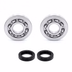 Crankshaft bearing for Crankshaft bearings for Gilera RUNNER PPS00383 the ball bearings and oil seals in OEM quality are suitable for the maintenance of your vehicle