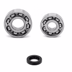 Secondary shaft gearbox bearing for Gilera RUNNER PPS00400 the ball bearings and oil seals in OEM quality are suitable for the maintenance of your vehicle