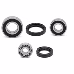 the ball bearings and oil seals in OEM quality are suitable for the maintenance of your vehicle