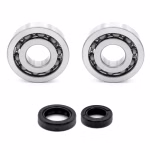 the ball bearings and oil seals in OEM quality are suitable for the maintenance of your vehicle