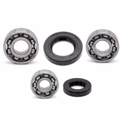 Getriebelager kompatibel mit Peugeot FOX 50 CC FOX A2 BE FOX GSX EU1 FOX GSXA EU FOX LN A BE PPS00599 die Kugellager und Wellendichtringe in Erstausrüsterqualität eignen sich für die Wartung deines Fahrzeuges