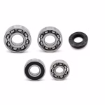 Gearbox bearing for Peugeot XPS 125CT EU PPS00628 the ball bearings and oil seals in OEM quality are suitable for the maintenance of your vehicle