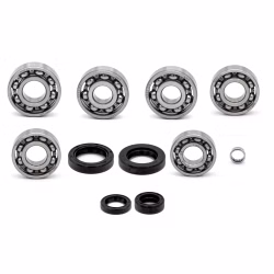 Motorgehäuse Lager und Dichtungen kompatibel mit Peugeot XPS SM 50 CC XPS SM EX XPS T 50 CC PPS00630 die Kugellager und Wellendichtringe in Erstausrüsterqualität eignen sich für die Wartung deines Fahrzeuges