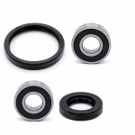 Front wheel bearing compatible with Kawasaki NINJA 250R Ninja 250R PPS00784 Buy wheel bearings front axle online ✓ Large selection ✓ Express shipping ✓ Good prices