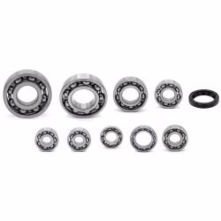 Engine case bearings and gaskets for Kawasaki KLX300 KLX300R NINJA 250SL Z250SL PPS00822 the ball bearings and oil seals in OEM quality are suitable for the maintenance of your vehicle