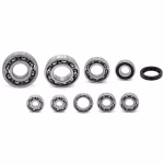 Engine housing bearings and seals for Kawasaki KLX250 KLX250R PPS00847 the ball bearings and oil seals in OEM quality are suitable for the maintenance of your vehicle