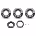 Motorgehäuse Lager und Dichtungen kompatibel mit Kawasaki KR-1 KR-1S PPS00848 die Kugellager und Wellendichtringe in Erstausrüsterqualität eignen sich für die Wartung deines Fahrzeuges