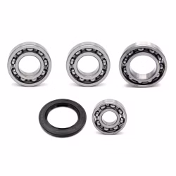 Gearbox bearing for Suzuki BURGMAN PPS00935 the ball bearings and oil seals in OEM quality are suitable for the maintenance of your vehicle