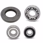 Radlager hinten kompatibel mit Suzuki GS GS-E GSX-E GSX-S PPS00983 abgedichtete Radlager für das Hinterrad als Ersatzteil Set in Erstausrüsterqualität für dein Fahrzeug
