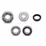 Getriebelager kompatibel mit GasGas EC 250 F RACING EC 300 F RACING PPS01030 die Kugellager und Wellendichtringe in Erstausrüsterqualität eignen sich für die Wartung deines Fahrzeuges
