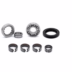 Secondary shaft gearbox bearing PPS01149 the ball bearings and oil seals in OEM quality are suitable for the maintenance of your vehicle