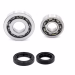 the ball bearings and oil seals in OEM quality are suitable for the maintenance of your vehicle