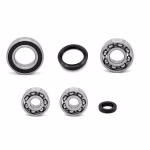 Gearbox bearing for Piaggio BEVERLY BV CARNABY MP3 X-EVO X8 X9 PPS01159 the ball bearings and oil seals in OEM quality are suitable for the maintenance of your vehicle