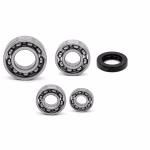 Gearbox bearing for Yamaha T105SE PPS01249 the ball bearings and oil seals in OEM quality are suitable for the maintenance of your vehicle