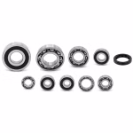 Engine case bearings and gaskets for Kawasaki KLX250 KLX250S KLX250SF KLX300R PPS01253 the ball bearings and oil seals in OEM quality are suitable for the maintenance of your vehicle