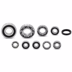 Engine case bearings and gaskets for Kawasaki KLX250 KLX250S KLX250SF KLX300R PPS01253 the ball bearings and oil seals in OEM quality are suitable for the maintenance of your vehicle